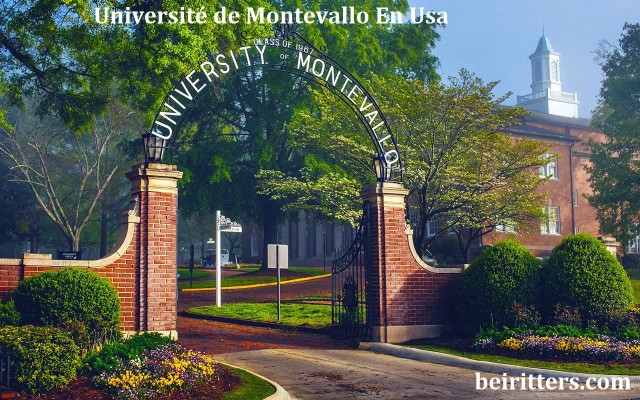 Université de Montevallo En Usa