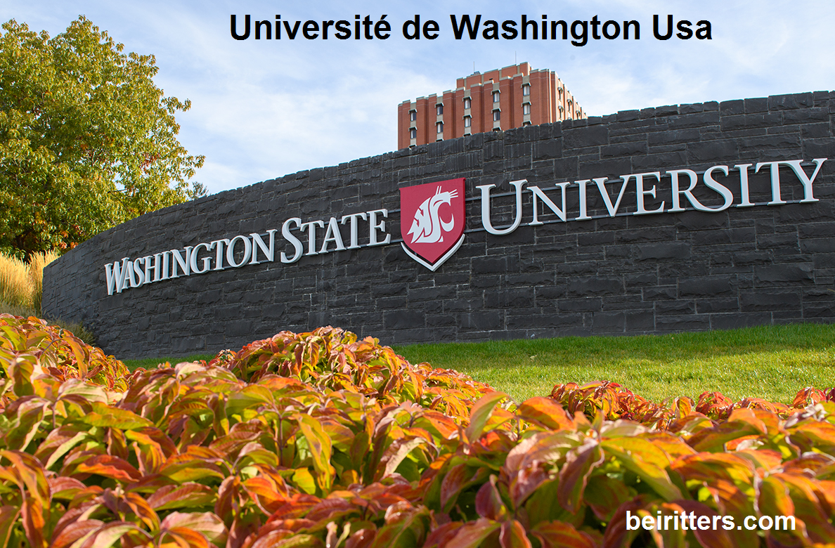 Université de Washington
