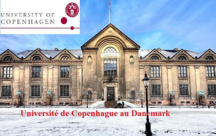 Université de Copenhague au Danemark