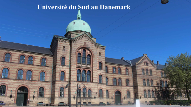 Université du Sud au Danemark